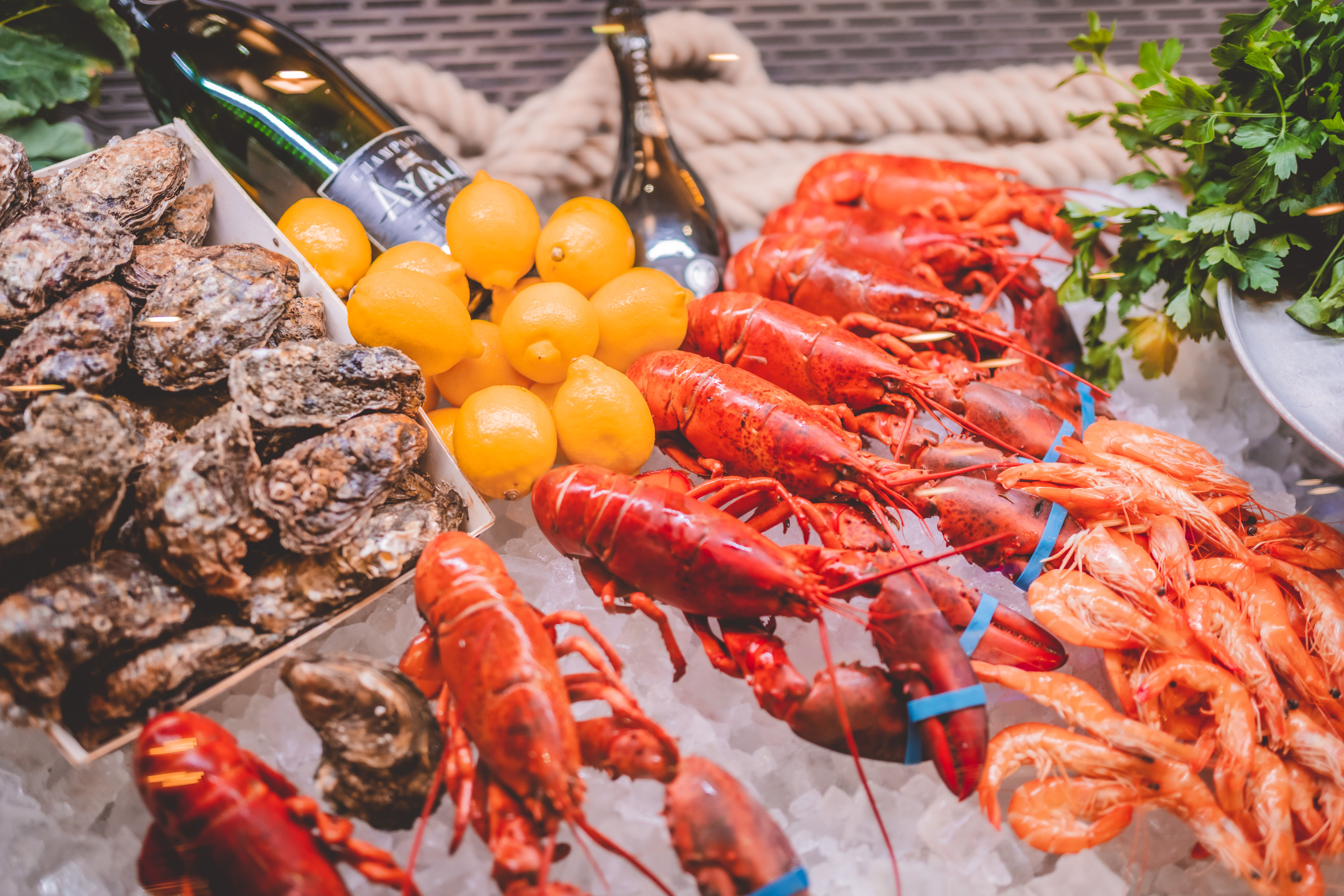 Fischsorten angerichtet